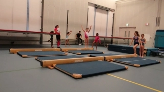 Funtastic Gymnastic Club About Us