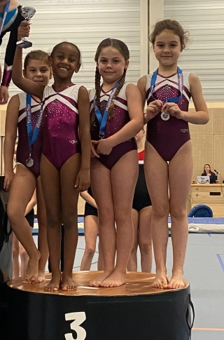 FGC Competition Team 004